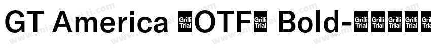 GT America (OTF) Bold字体转换